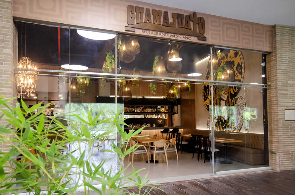 Guanajato Diseño de interiores MF Arquitectos